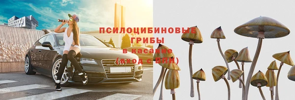 крисы Верхнеуральск