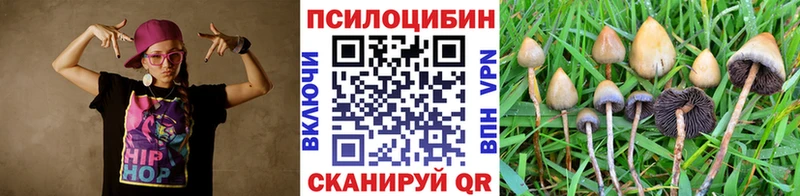 Псилоцибиновые грибы Magic Shrooms  закладки  Липецк 